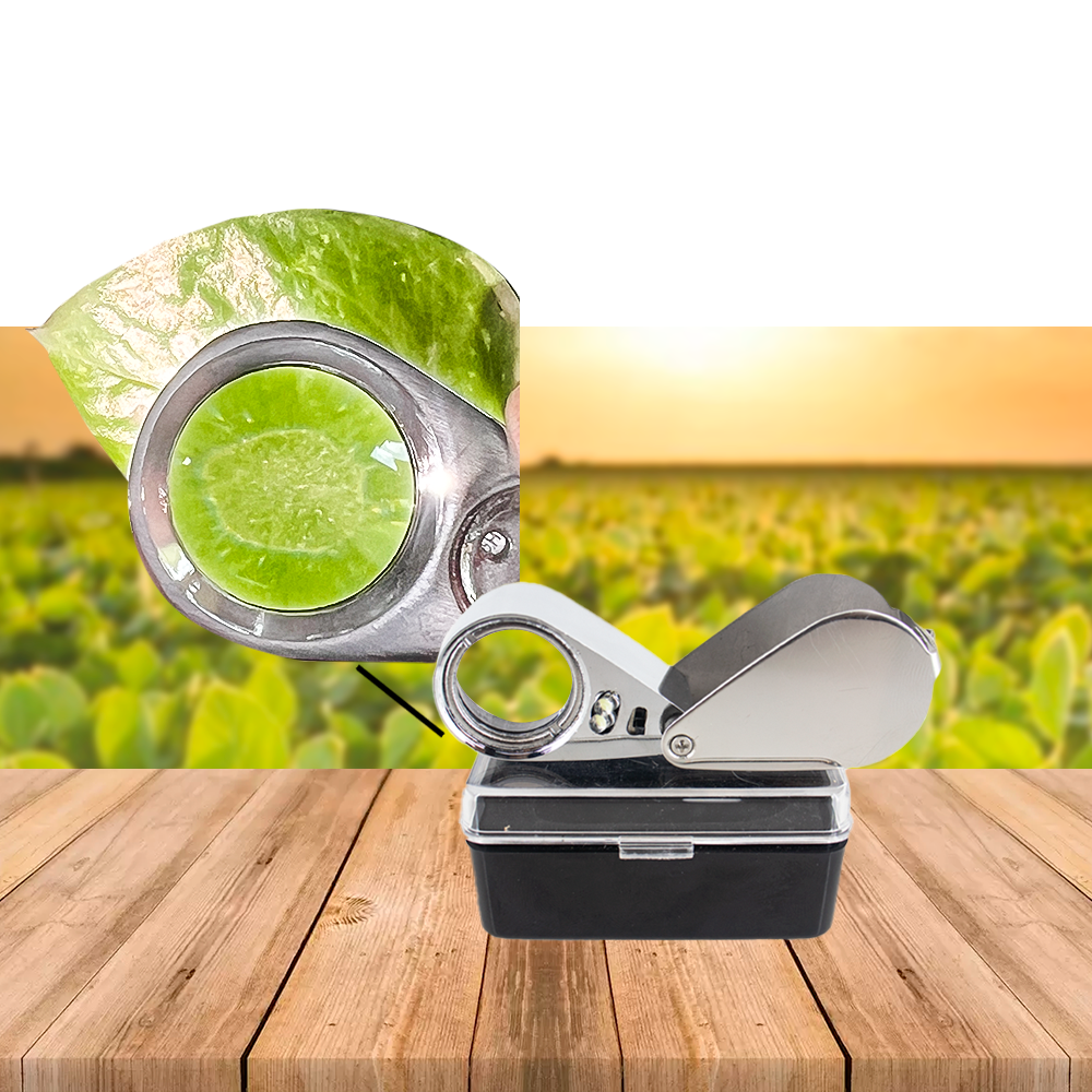 Categoria - Agricultura e pécuária
